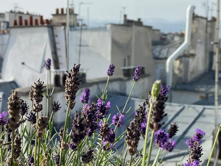 パリPenthouse With Terrasse And View On Eiffel Towerアパートメント パリ